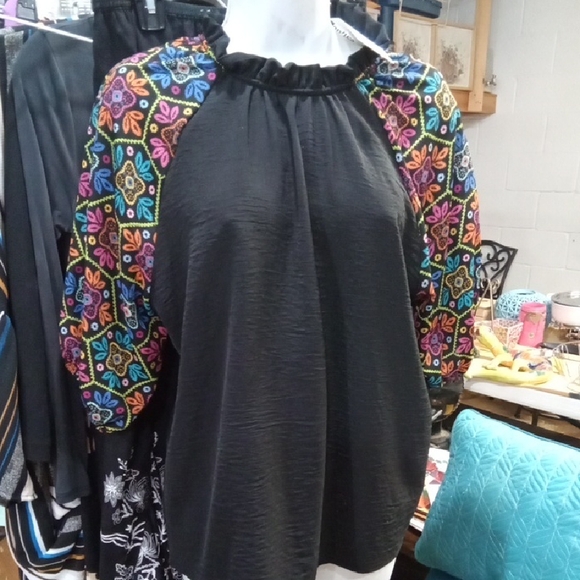 Chic Black Blouse with Multicolor Embroidered Sleeves - Picture 1 of 6